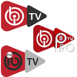 Logo IBO PRO